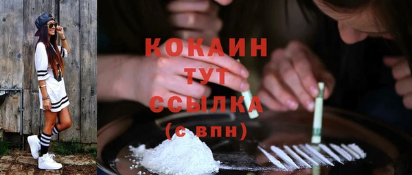 меф Арсеньев