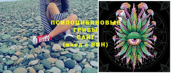 меф Арсеньев