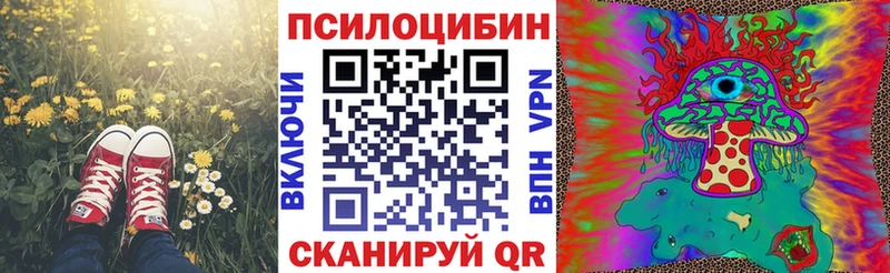 дарк нет официальный сайт Бологое Галлюциногенные грибы мицелий